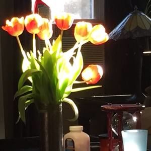 Meet your Posher, Pat